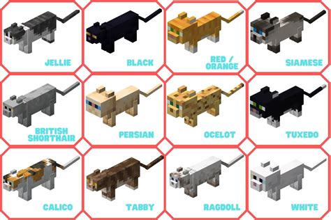 Minecraft Cat Breeds Chart