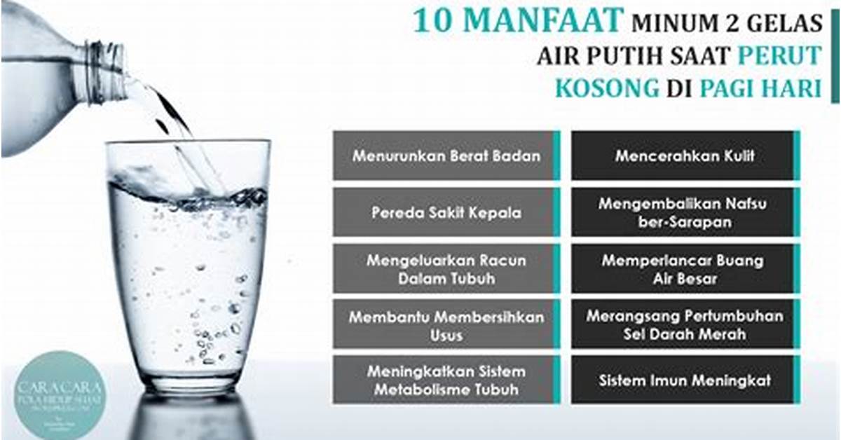 Minum Air Putih Herbalife Untuk Diet