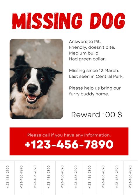 Missing Dog Template Poster