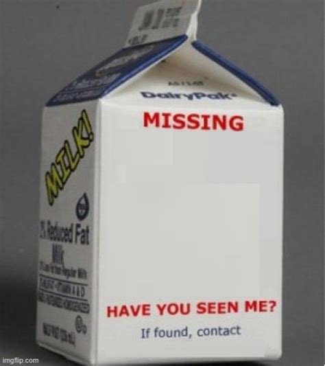 Missing On Milk Carton Template