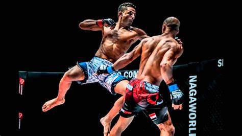 Apa Itu Mixed Martial Arts