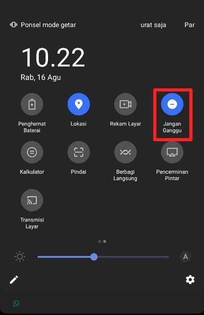 Mode Jangan Ganggu