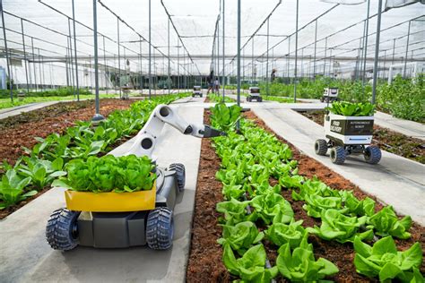 Agribisnis Modern