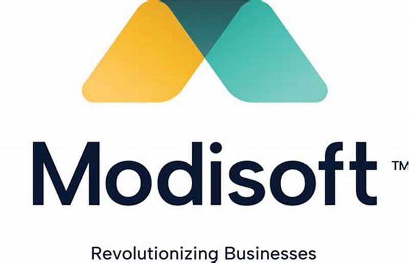 Modisoft Net Worth