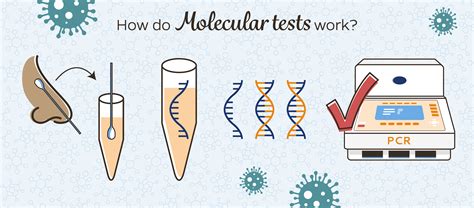Molecular testing lab