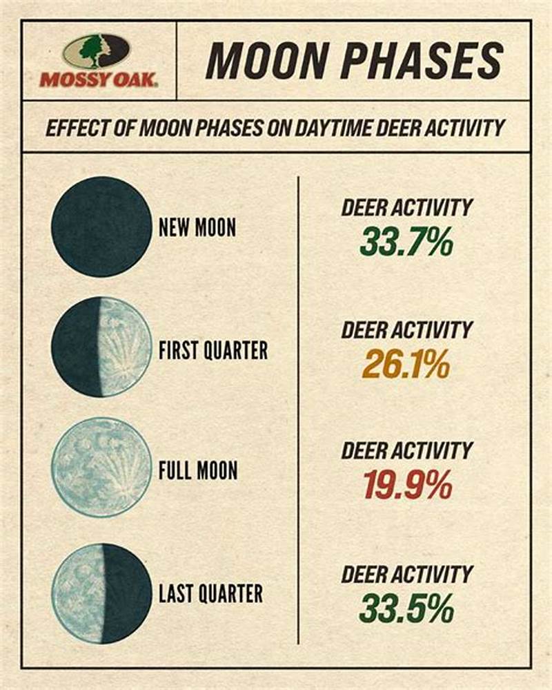 Moon Phase Chart For Deer Hunting