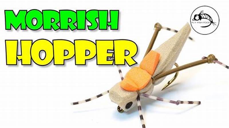 Morrish Hopper Fly Pattern