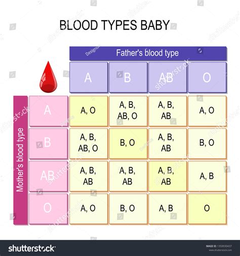 Mother Father Blood Type Chart