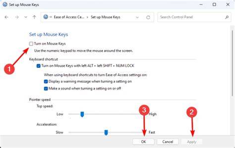 Mouse Keys Settings in Ease of Access Center