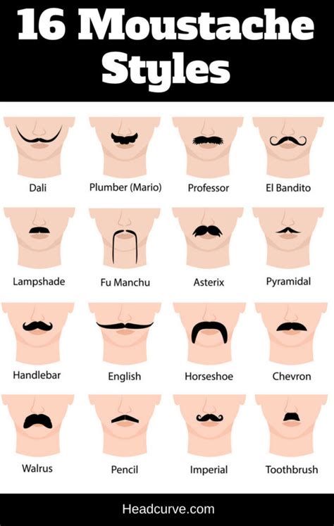 Moustache Styles Chart