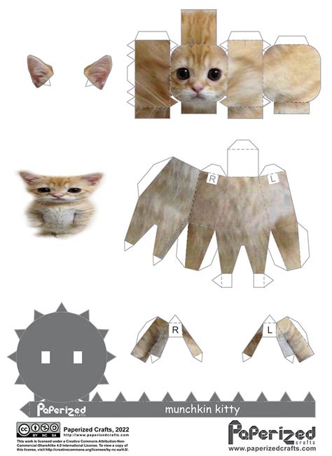 Munchkin Kitty Papercraft Template