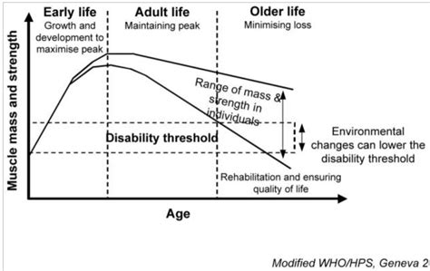 Muscle Loss With Age Chart