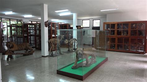 Museum Zoologi Bandung