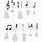 Musical Notation Notes