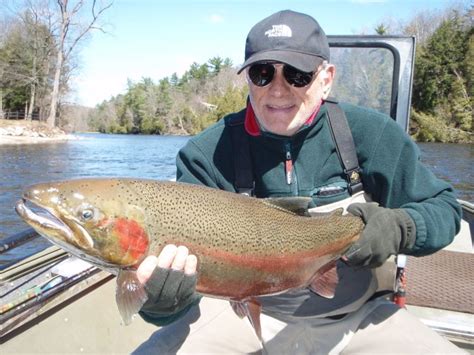 Muskegon River Fishing guided tours