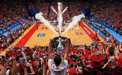 NBL Fan Crowd