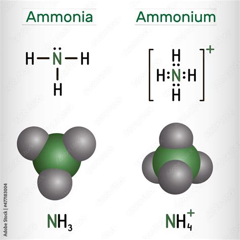 NH3 dan NH4: Apa Bedanya Sih? Yuk, Kita Bahas!
