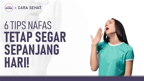 Nafas Segar Sepanjang Hari