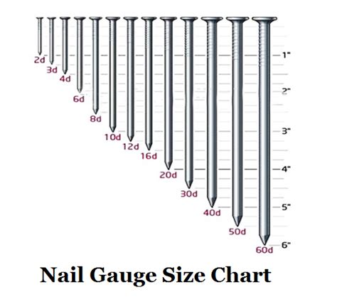 Nail Penny Size Chart