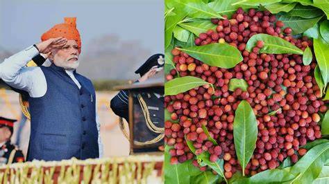 Rahasia Bugar ala PM India