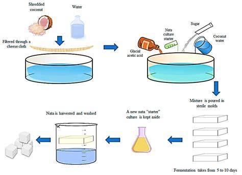 Nata de Coco production process