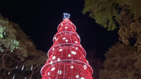 Natal