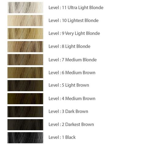 Natural Hair Color Level Chart