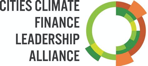 Navigating the Complex Landscape of Alliance-Based Finance Leadership