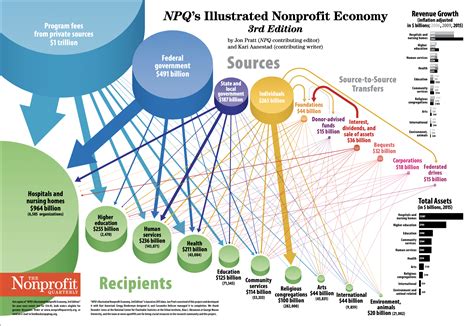 Navigating the Complex World of Non-Profit Organizations: A Deep Dive