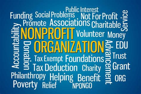 Navigating the Complex World of Non-Profit Organizations: A Deep Dive into Non Non-Profit Success