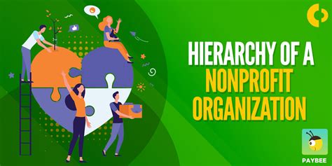 Navigating the Complex World of Profit Orgs: A Deep Dive into Nonprofits and Their Impact