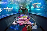 Nearest Aquarium