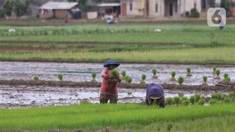 Contoh Negara Agraris di Dunia
