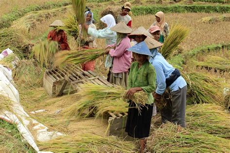 Negara agraris adalah negara yang sebagian besar penduduknya bekerja di sektor pertanian