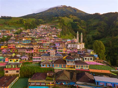 Nepal Van Java