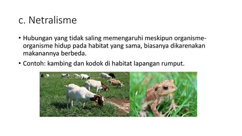 Netralisme dalam Ekologi