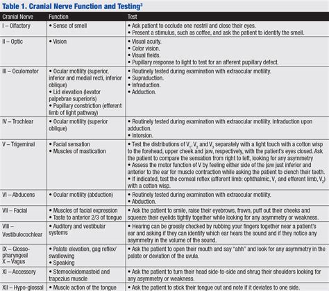 Neurological physical assessment