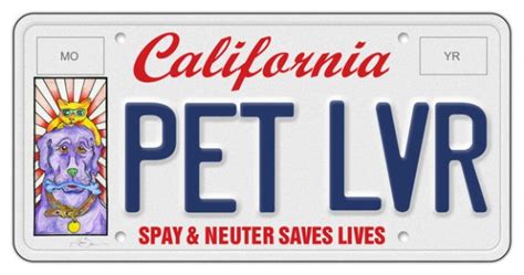 New Mexico Pet Lover License Plate
