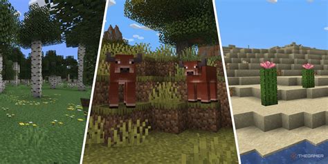 New Minecraft Features