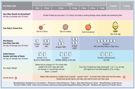 Newborn Diaper Chart