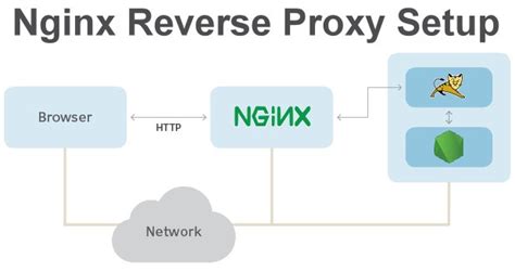 Nginx Reverse Proxy Examples