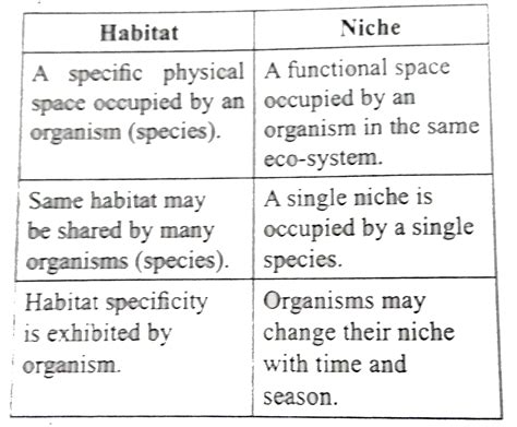 Niche