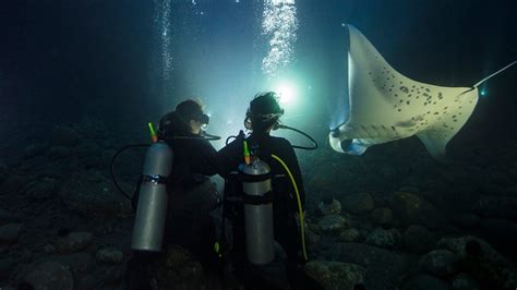 Night Diving