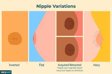 Nipple Types Chart