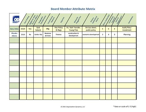 Nonprofit Board Matrix Template