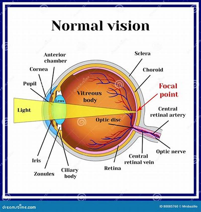 Normal Eye Vision Left And Right Chart
