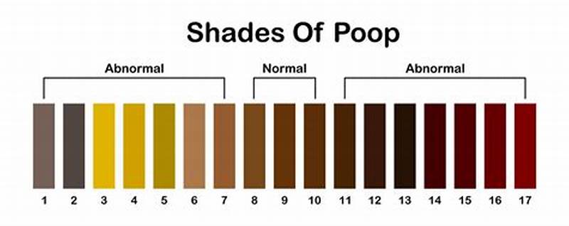 Normal Feces Color Chart