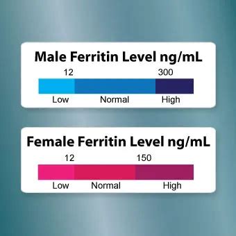 Normal Ferritin Level Chart