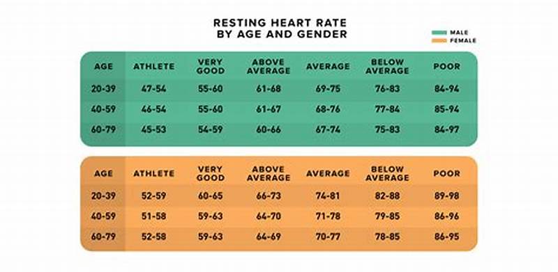 Normal Heart Rate At Rest Chart