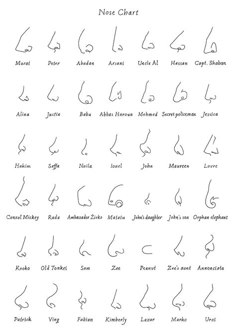 Nose Ethnicity Chart